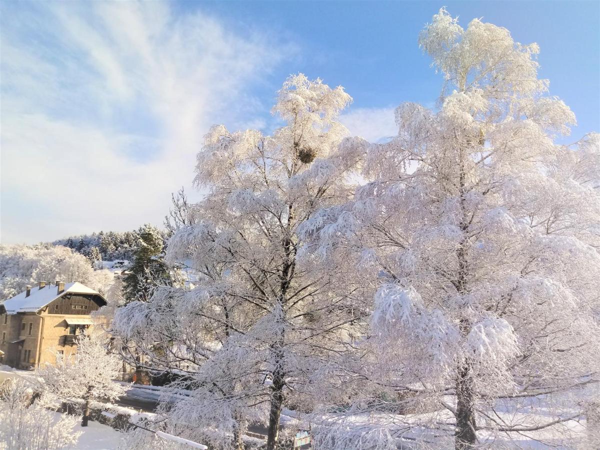 Kunterbunt Seehaus Appartement Faak am See Buitenkant foto