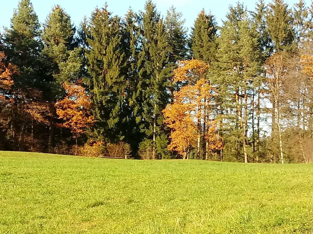 Kunterbunt Seehaus Appartement Faak am See Buitenkant foto